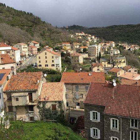 Maison Entiere Tout Equipe 4 Chambre Possibilite De 10 Couchage Venaco Centre Corse Bagian luar foto